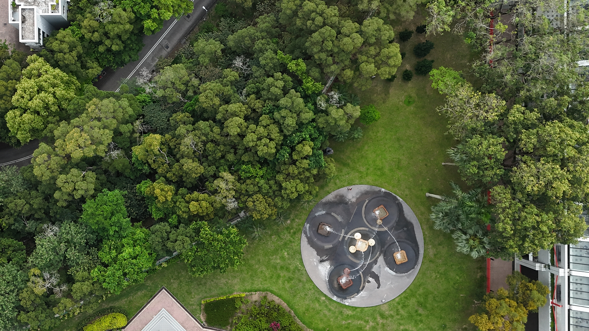 校园植物足迹 天一泉